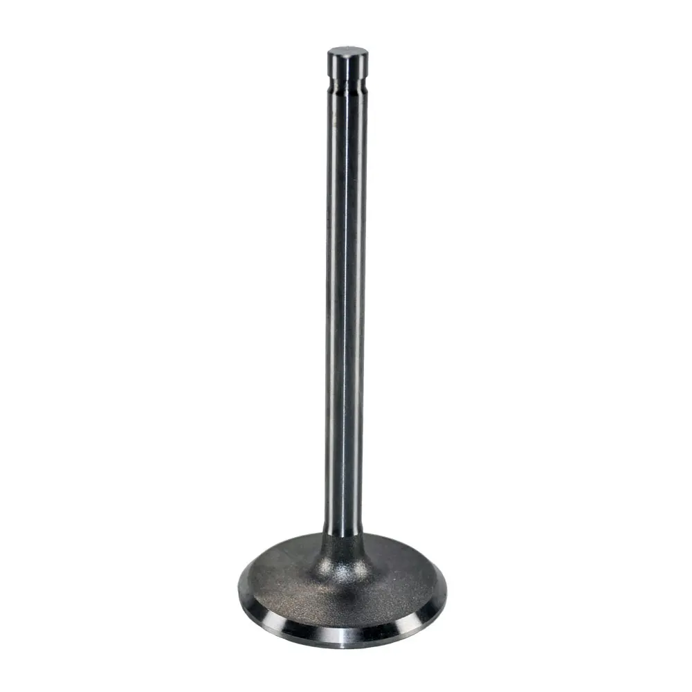 00494 - Valve