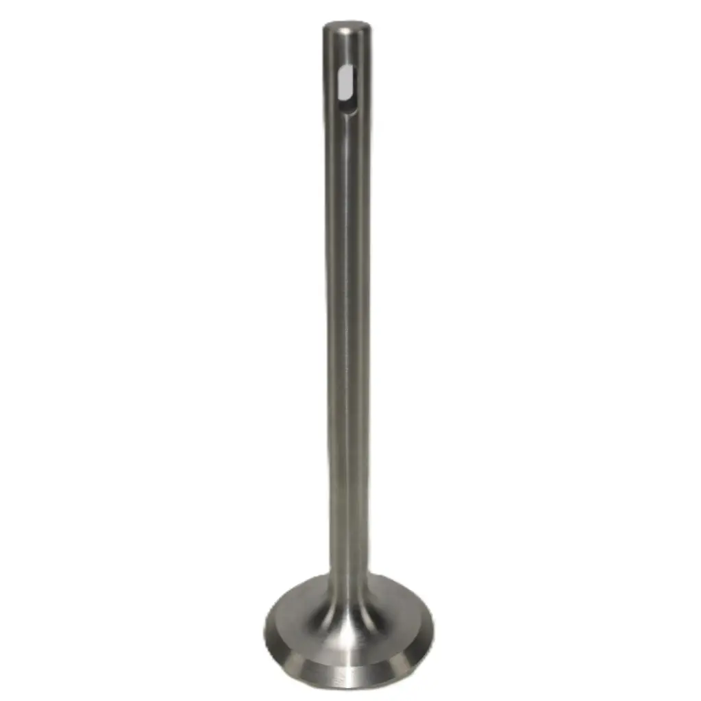 S556 - Valve