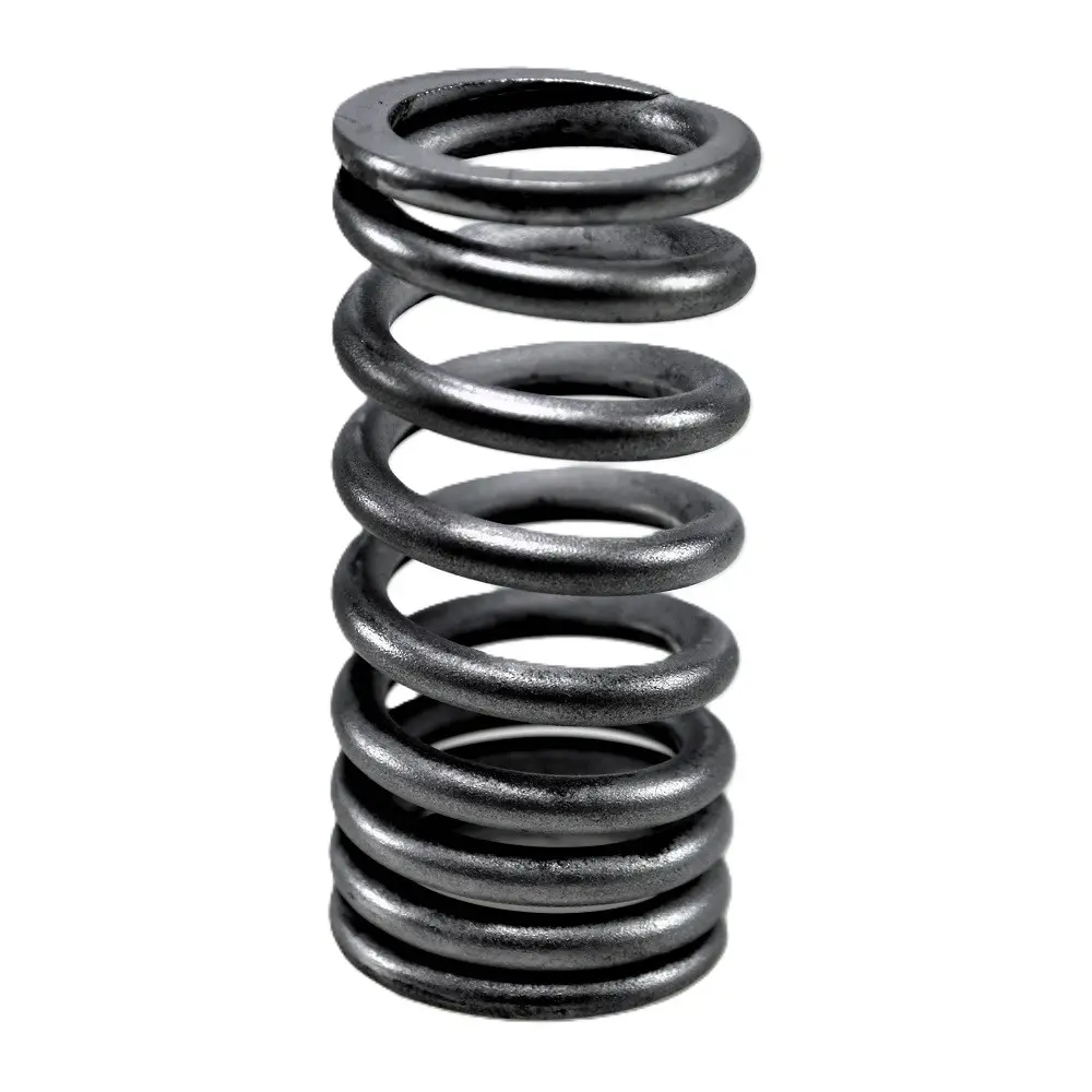 VS496 - Valve Spring