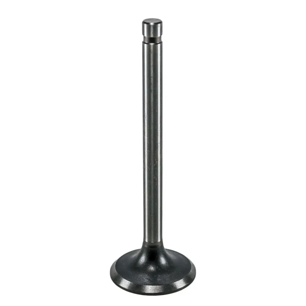 S2480 - Valve