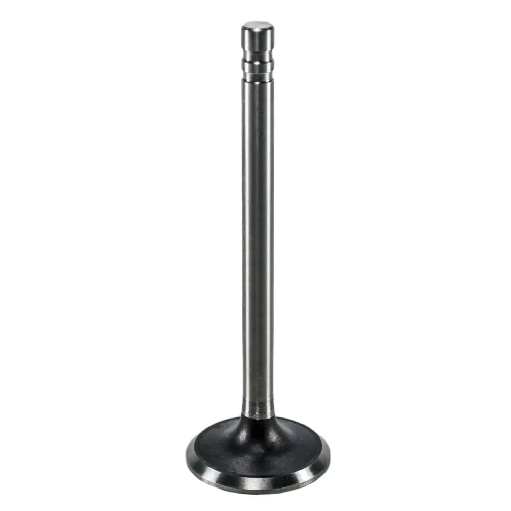 S2423 - Valve
