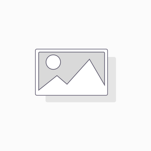 VS1074 - Valve Spring