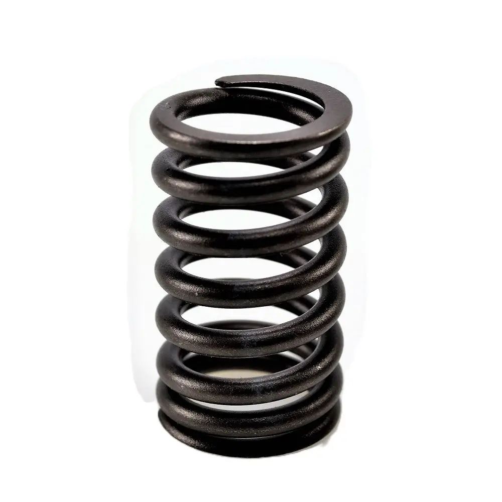 RV415 - Valve Spring