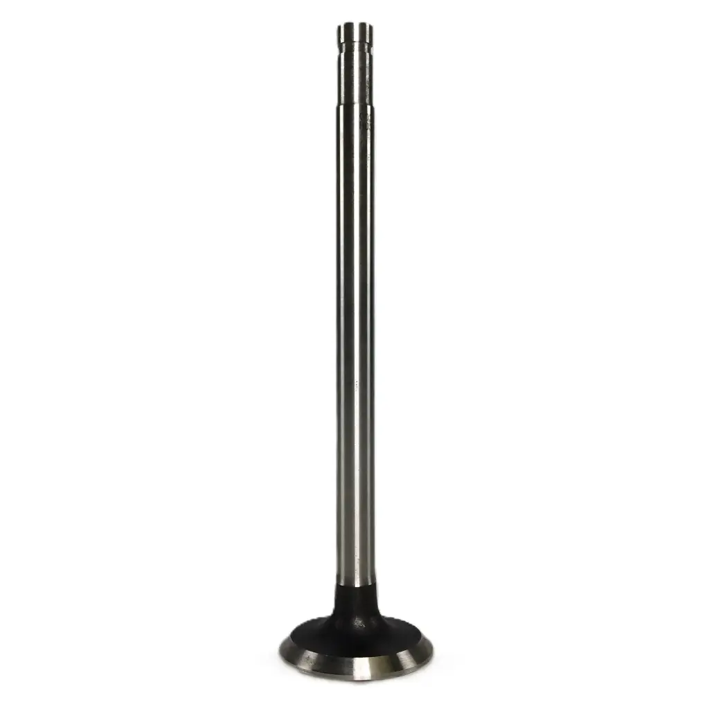 00303 - Valve