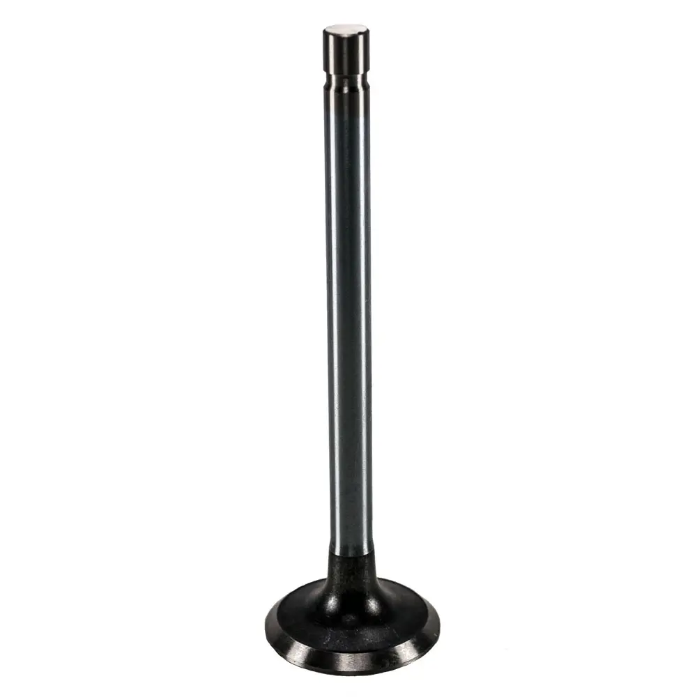 01242 - Valve